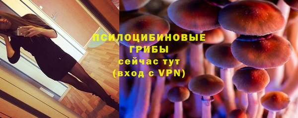 амф Алексеевка