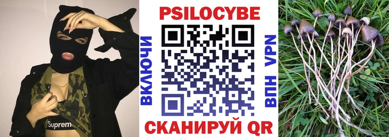 Галлюциногенные грибы мицелий Асино