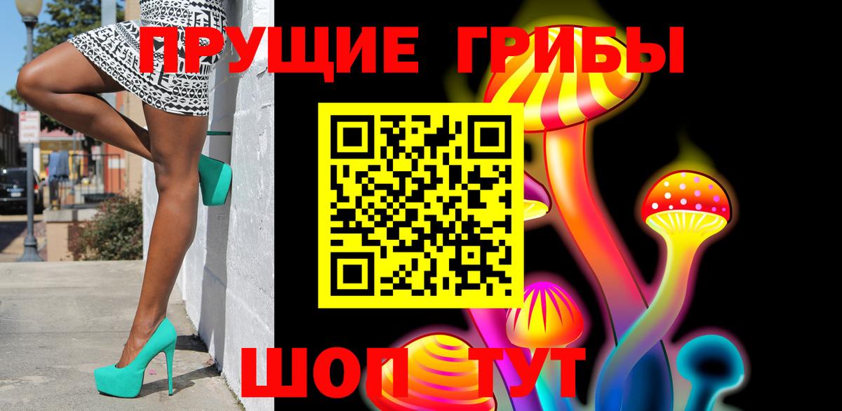 Псилоцибиновые грибы прущие грибы Асино