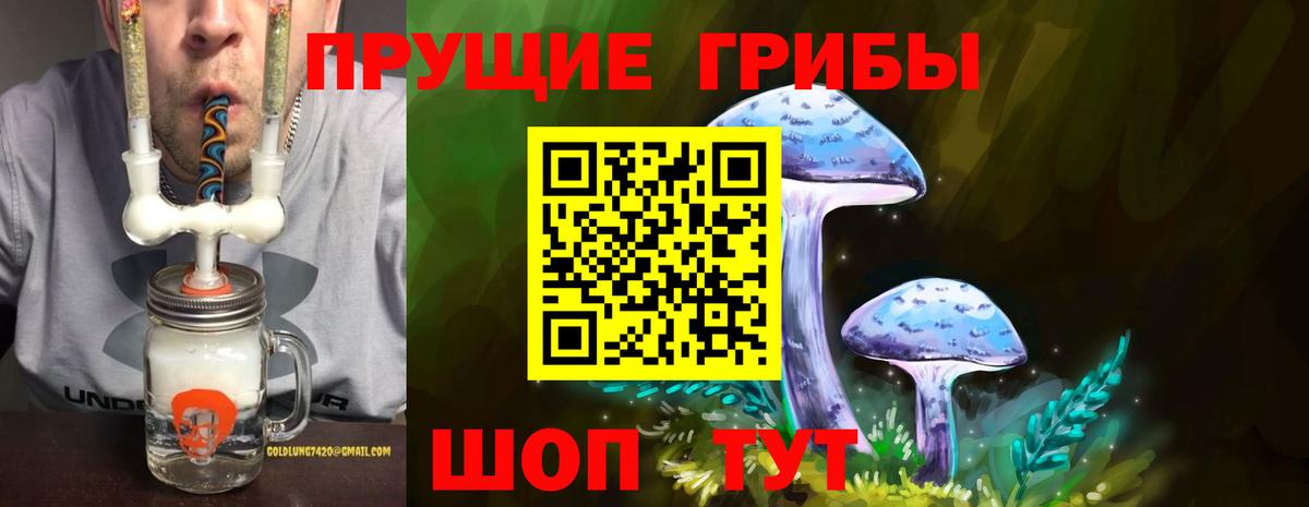 Галлюциногенные грибы мицелий  Вход с VPN  Асино 